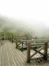 L 的公司旅遊